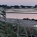 Oro Bianco